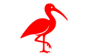 IBIS Logo